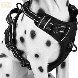 Pet Factory wholesale Amazon Ebay Wish hot large mesh dog harness 109-0001 www.chinagmt.com