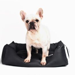 Factory Supply Wholesale Luxury Pet Bed Soft Square Elegant Noble Series Dog Bed www.chinagmt.com