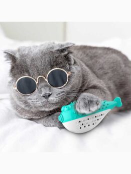 Innovative suction cup cat windmill with catnip/LED balls. Stimulates play, promotes dental hygiene, and fits on flat/vertical surfaces. Made of ABS+TPR, safe and durable.