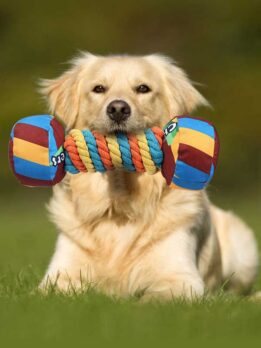 Rainbow pet dog toys making sounds pet toy