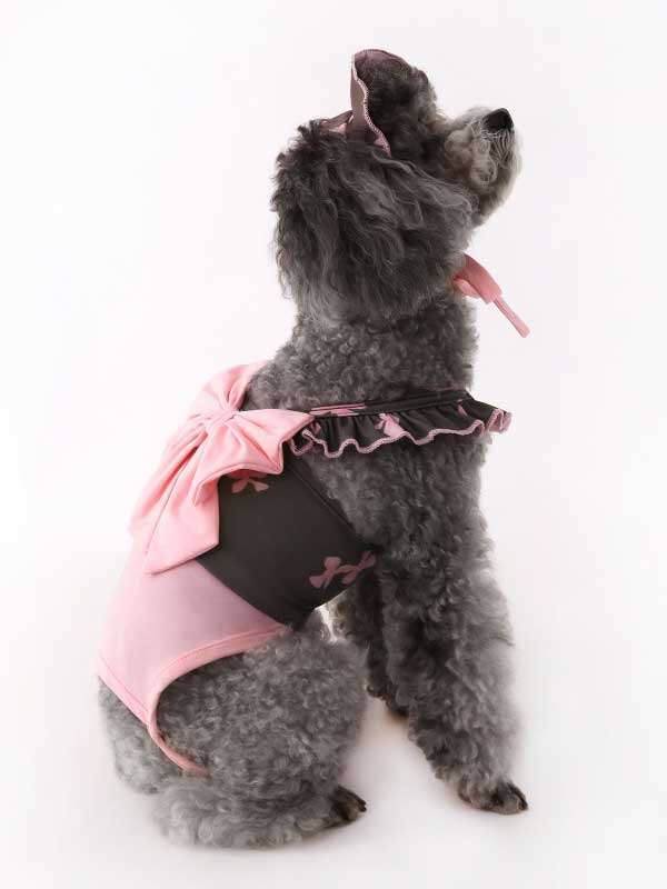 Wholesale Dog swimsuit halter cat two-legged swimwear pet bikini teddy dog clothes and hat